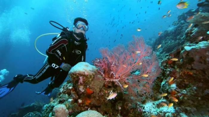 spot diving di indonesia